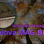 magder