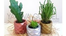More Design Yepyeni Tasarımları İle Hizmette More Design Yepyeni Tasarımları İle Hizmette