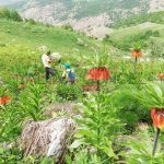 post_D8ZvqmZWkAI9Cw3