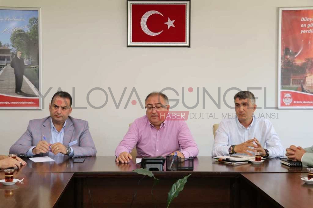 Sokak Hayvanları İçin Bir Aradalar