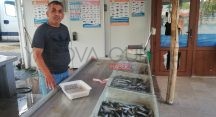Balık Satışları Devam Ediyor Balık Satışları Devam Ediyor