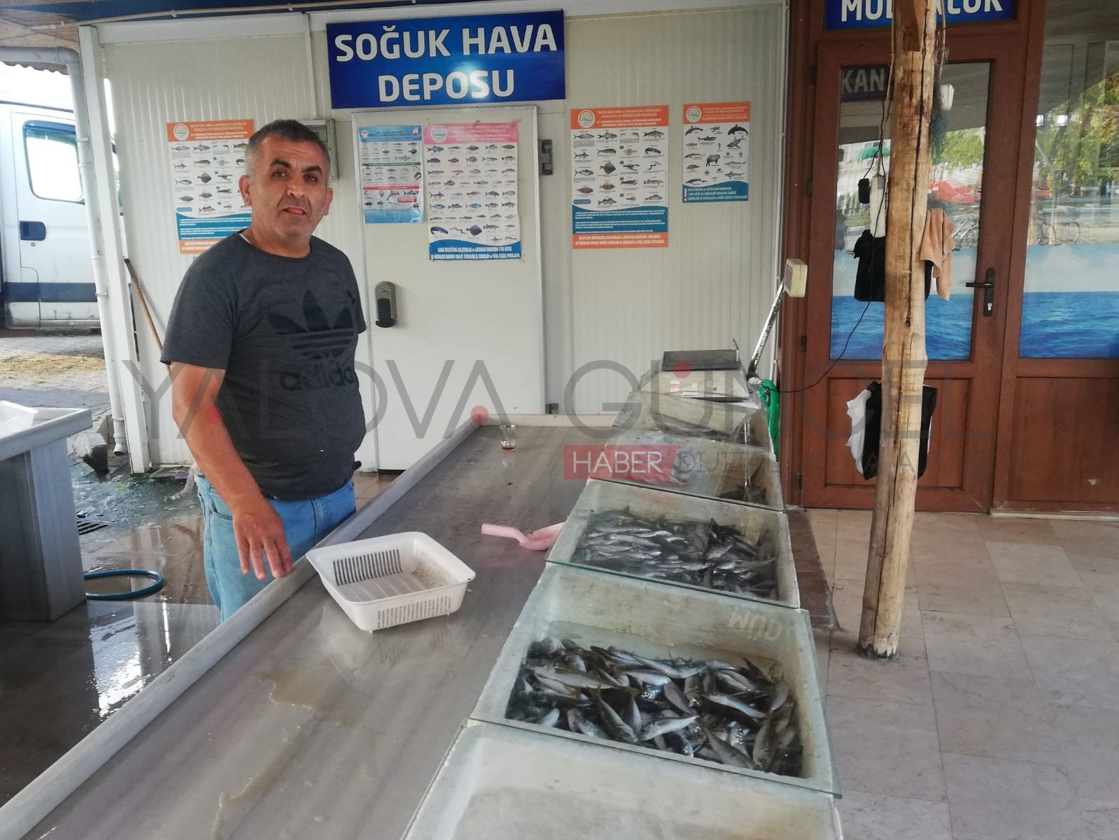 Balık Satışları Devam Ediyor