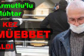 resim_2023-06-18_181335379