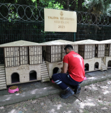 resim_2023-07-16_135940897