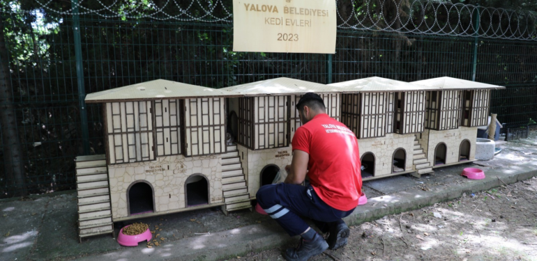 Yaz Sıcağında Can Dostlarımız Unutulmadı