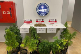 resim_2023-07-19_214329854