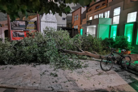 resim_2023-07-25_004921210