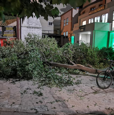 resim_2023-07-25_004921210