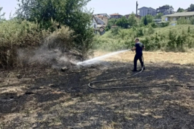 resim_2023-07-28_150424691