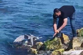 resim_2023-07-31_220041112