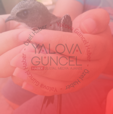 Desenli Arka Plan Üzerine Minimalist Vlog Youtube Küçük Resim (3)