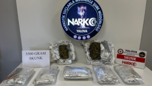 resim_2023-08-10_114153488