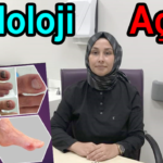 resim_2023-08-24_155022773