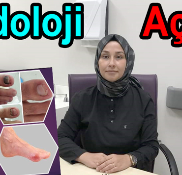 resim_2023-08-24_155022773