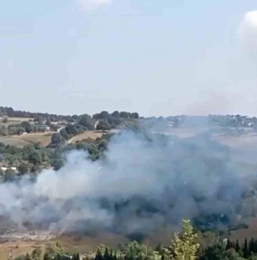 resim_2023-08-31_133548624