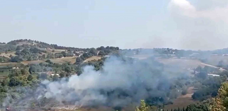 Çiftlikköy’de Ormanlık Alanda Yangın Paniği