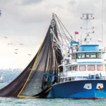 resim_2023-08-31_171918890