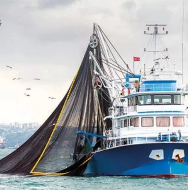 resim_2023-08-31_171918890