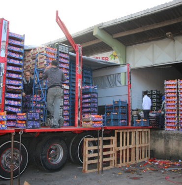 resim_2023-09-06_113042084