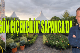 resim_2023-09-06_222358842