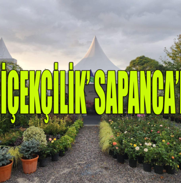 resim_2023-09-06_222358842