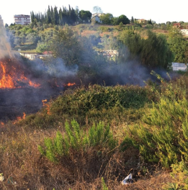 resim_2023-09-11_164528060