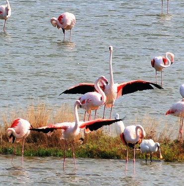 resim_2023-09-11_164954539