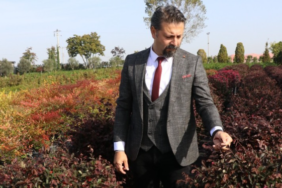 resim_2023-10-25_180653875