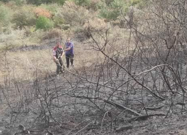 resim_2023-10-25_201551928