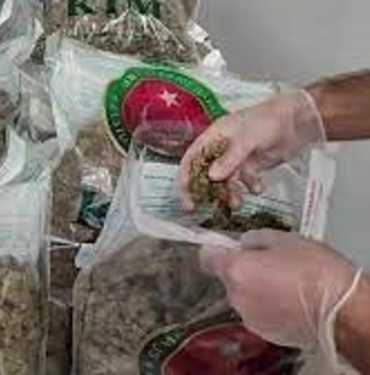 resim_2023-11-02_125214179