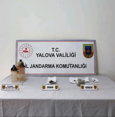 resim_2023-11-03_225945705