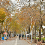 resim_2023-11-11_004833873