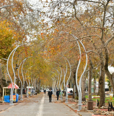 resim_2023-11-11_004833873