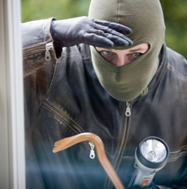 resim_2023-11-29_135411822