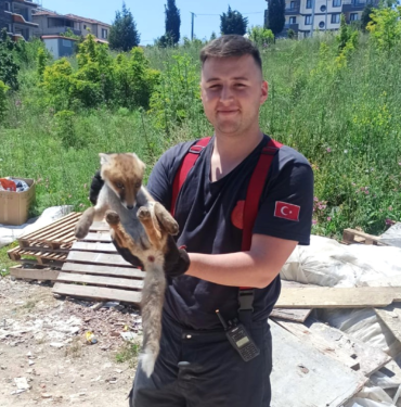 ÇİFTLİKKÖY İTFAİYESİ’NDEN TİLKİ KURTARMA OPERASYONU
