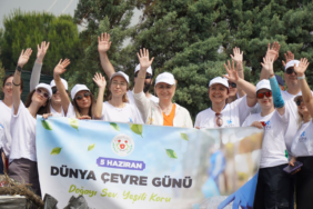 ALTINOVA SAHİLİ ŞERİDİ TEMİZLENDİ
