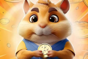 22 Haziran Hamster Kombat Günlük Şifre Ne?