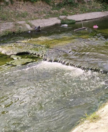 TURİZM CENNETİ YALOVA'NIN GÖBEĞİNDEKİ SAFRAN DERESİ!