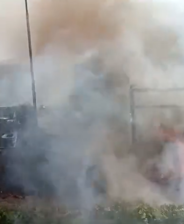 resim_2024-06-29_235819845