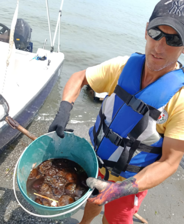 HERSEK DENİZİNDE ‘PUSULA DENİZANASI’ AVI