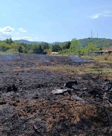 resim_2024-07-29_212407050