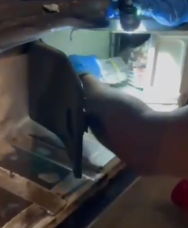 resim_2024-07-29_222317378