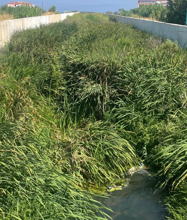 Koru Beldesi'nde Çınarcık İlçesindeki Dere Tehlike Saçıyor