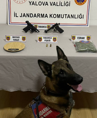 Yalova’da Uyuşturucu Operasyonu: Bir Kişi Gözaltına Alındı