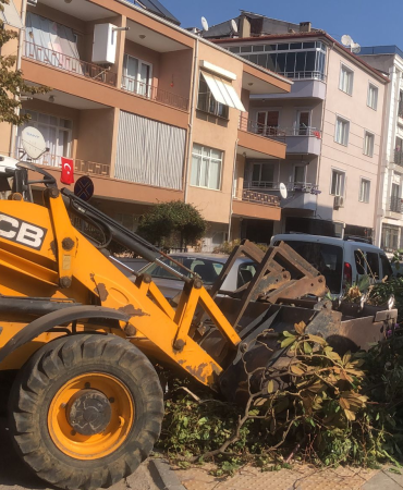 resim_2024-11-01_215701939