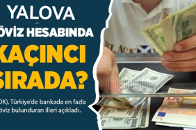 Türkiye’nin Döviz Zengini İlleri Açıklandı: Yalova 11. Sırada