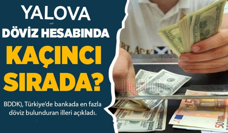 Türkiye’nin Döviz Zengini İlleri Açıklandı: Yalova 11. Sırada