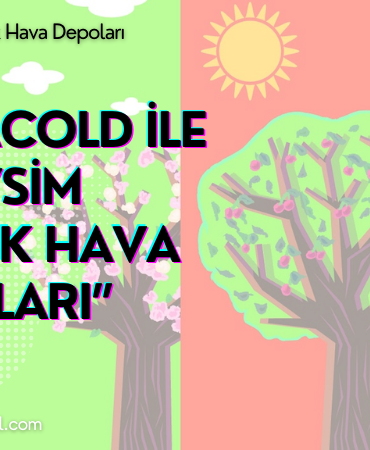 NetaCold Proje Tasarımı ve Planlama: Başarı İçin Temelden Doğru Adımlar