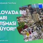 Site Özel Banner (6)