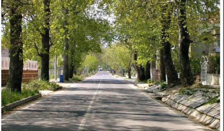 Türkiye’nin En Büyük 4. Köyü Yalova Samanlı